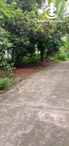 Land for Sale in Kadawatha - 18P Land for Sale 3km from Kadawatha - photo 5