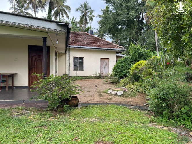 Land for Sale in Gampaha - Gampaha - Hiripitiya Large Coconut Land with a Large House for Sale - photo 4