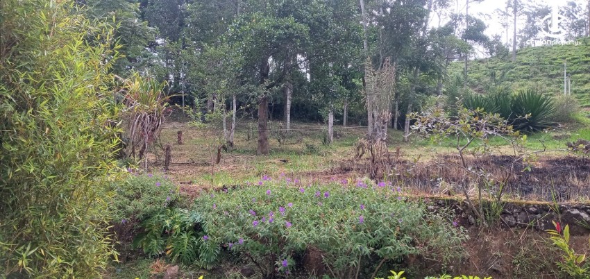 Land for Sale in Bandarawela - Udaha Walawwa – 3.30 Acre Estate with Scenic Mountain Views, Bandarawela for Sale - photo 3