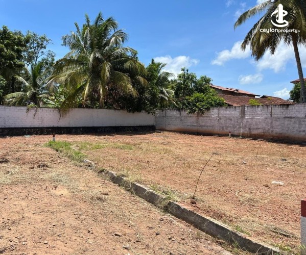 Land for Sale in Negombo - PRIME LAND FOR SALE – KURANA, NEGOMBO - photo 2