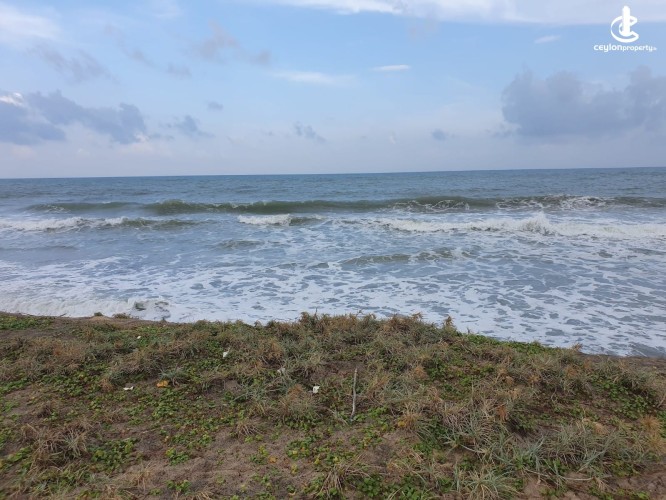 5 ACRES OF BEACHFRONT LAND FOR SALE IN POTTUVIL