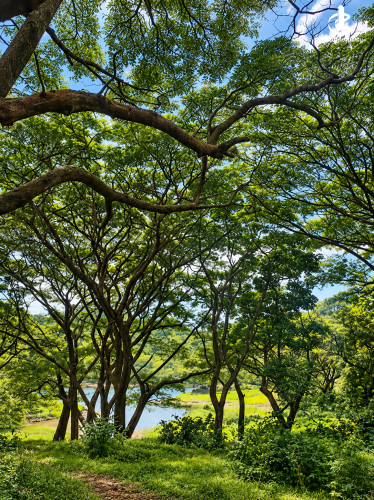 LUXURY GOLF COURSE VILLA FOR SALE IN VICTORIA GOLF RESORT – DIGANA, SRI LANKA