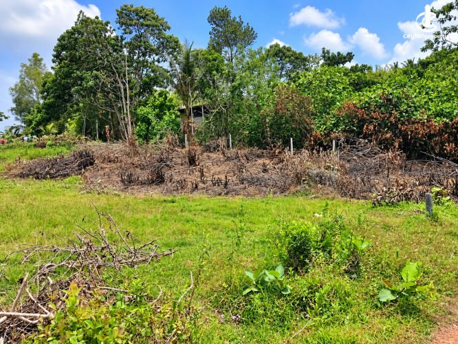 Land for Sale in Aluthgama - Commercial, Residential & Agricultural Land for Sale in Aluthgama - photo 2