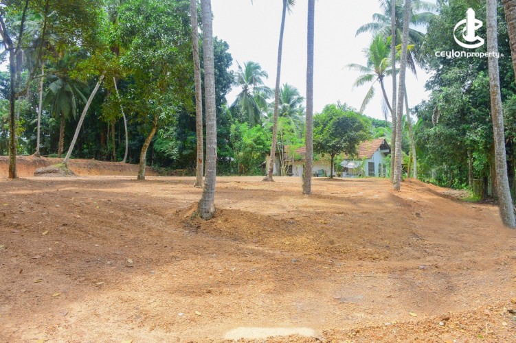 Land for Sale in Gampaha - Commercial Land For Sale in Gampaha - photo 1