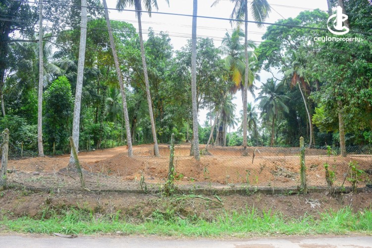 Land for Sale in Gampaha - Commercial Land For Sale in Gampaha - photo 8