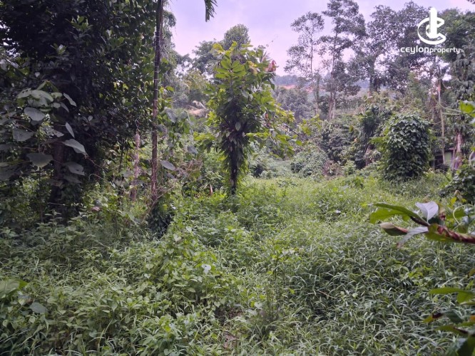 Land for Sale in Kandy - Residential Land for Sale – Kandy - photo 4