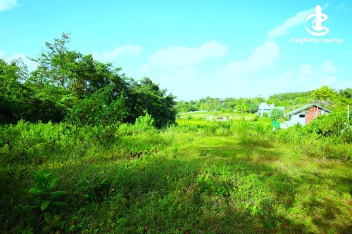 Land for Sale in Piliyandala - Facing Paddy field,Land for Sale in Gonapola