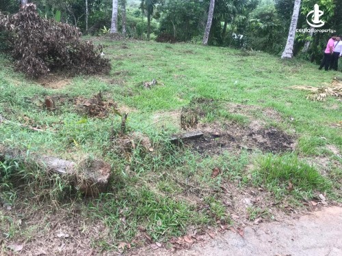 Land for Sale in Kaduwela - Land for Sale in Kaduwela
