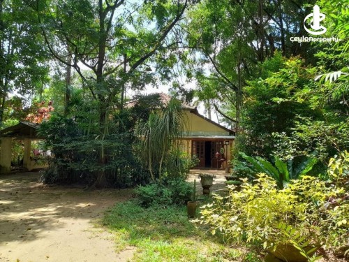 House for Sale in Avissawella - Historic Tranquil Old Walawwa for Sale in Avissawella – 101.3 Perches
