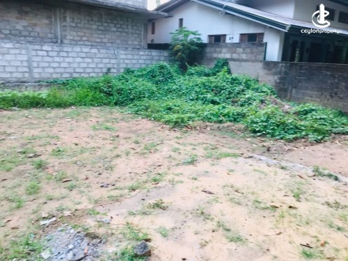 Land for Sale in Panadura - Land for sale in Panadura