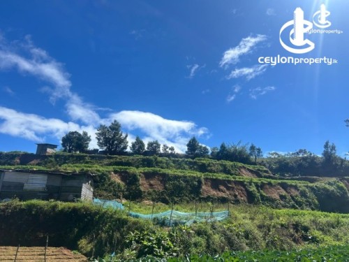 Land for Sale in Nuwara Eliya - Land For Sale in Nuwara Eliya