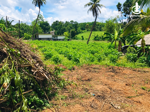 Land for Sale in Homagama - Land for Sale in Homagama