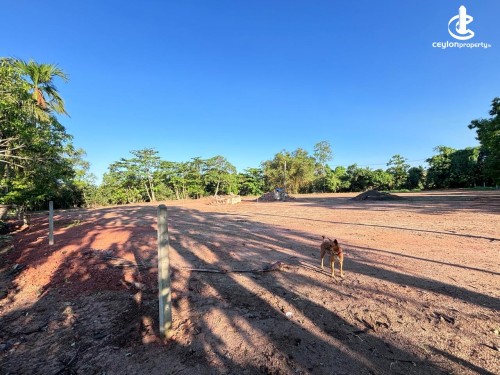 Land for Sale in Seeduwa - Waterfront land for sale in Dandugama
