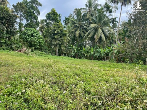 Land for Sale in Padukka - 145 Perch Bare Land for Sale in Padukka