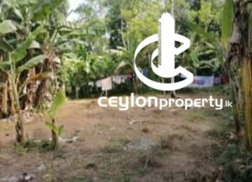 Land for Sale in Meegoda - Land for Sale in Meegoda
