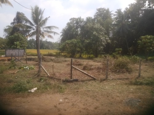 Land for Sale in Homagama - Land for Sale in Homagama