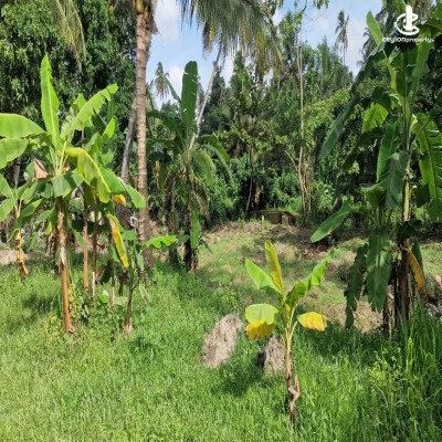 Land for Sale in Katana - Land for Sale in Katana