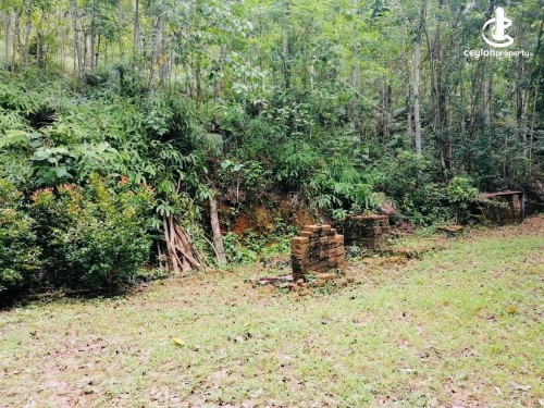Land for Sale in Kithulgala - Land for Sale in Kithulgala