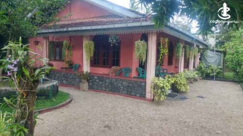 Land for Sale in Pamunugama - House with Large Land for Sale in Pamunugama