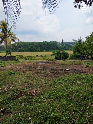 Land for Sale in Horana - Land for Sale in Horana