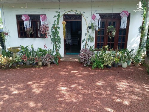 House for Sale in Panadura - House for Sale in panadura