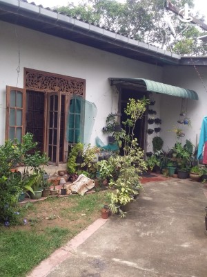 House for Sale in Boralesgamuwa - House for Sale in Boralesgamuwa