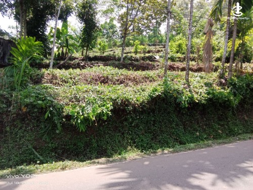 Land for Sale in Kuruwita - Land for Sale in Kuruwita