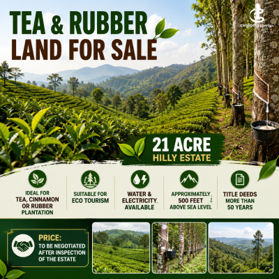 Land for Sale in Bulathsinhala - 21 Acre Hilly Estate for Sale – Bulathsinhala