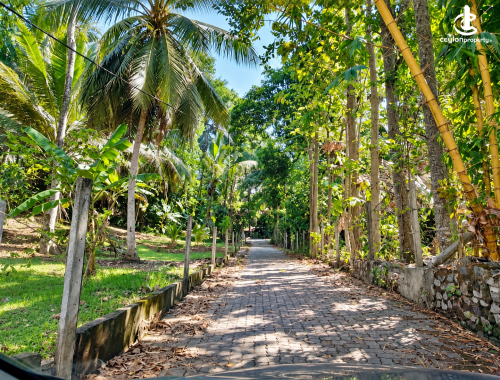 Land for Sale in Rajagiriya - LAND FOR SALE / EXCHANGE / RENT – RAJAGIRIYA