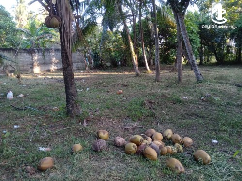Land for Sale in Katunayake - Land for Sale in katunayake