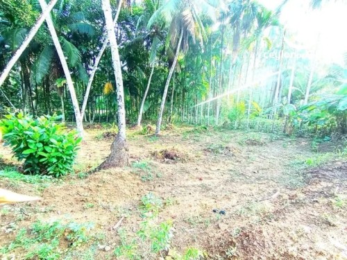 Land for Sale in Agalawatta - Land for Sale in Agalawatta