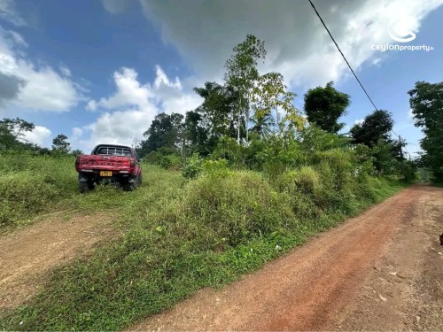 Land for Sale in Horana - Land for Sale in Horana