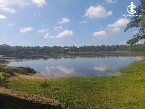 Land for Sale in Tangalla - Land for Sale in Tangalla