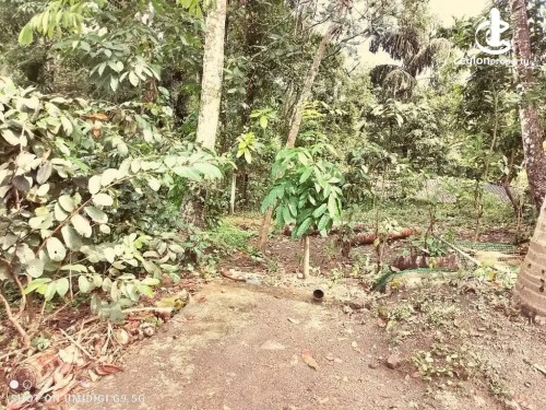 Land for Sale in Kandy - Land for Sale in Kandy