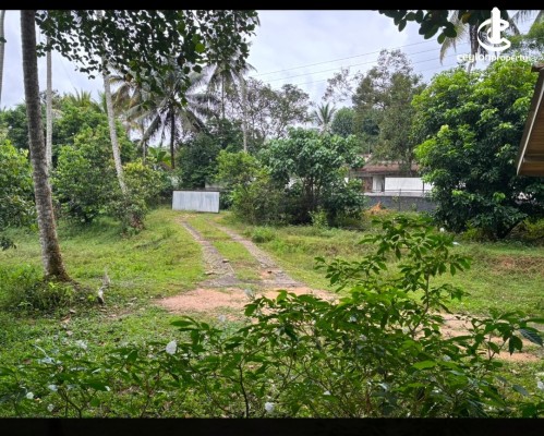Land for Sale in Horana - Land for Sale in Hora