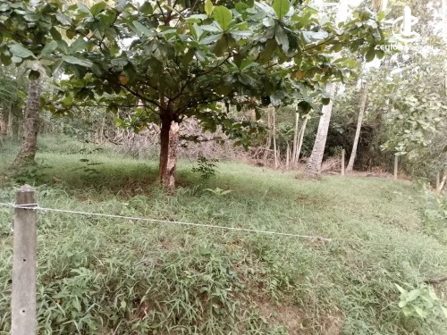 Land for Sale in Kadawatha - Land for Sale in kadawatha