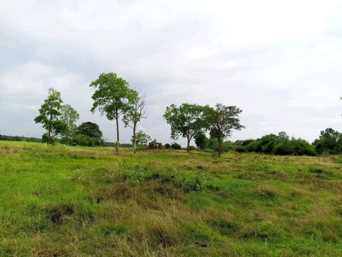 Land for Sale in Anamaduwa - Land for Sale in Anamaduwa