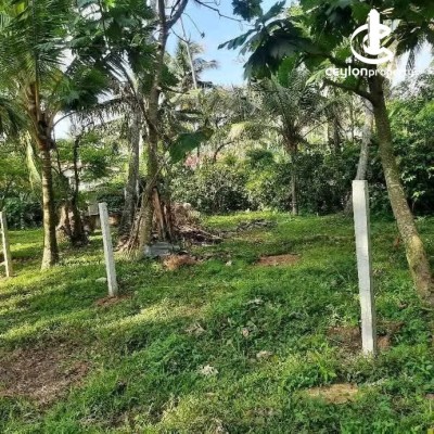 Land for Sale in Panadura - Land for Sale in Panadura