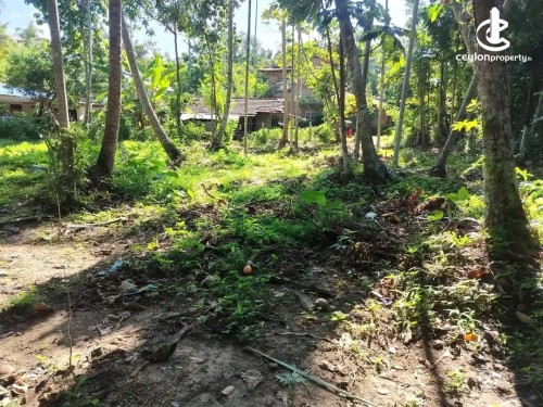 Land for Sale in Mawathagama - Land for Sale in Mawathagama