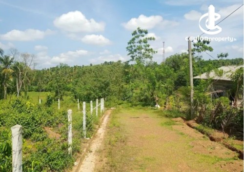 Land for Sale in Nittambuwa - Land for Sale – Nittambuwa