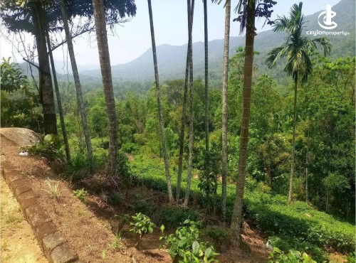 Land for Sale in Rakwana - scenic Land for Sale in Rakwana
