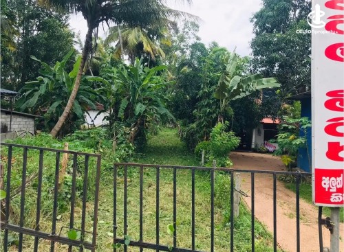 Land for Sale in Narammala - Land Plot Facing Narammala - Kuliyapitiya Main Road