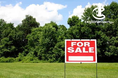 Land for Sale in Tangalla - Prime Tourism Land for Sale near Kalametiya Beach & Lagoon
