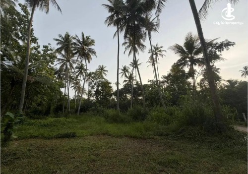 Land for Sale in Chilaw - Land Plot for Sale – Chilaw