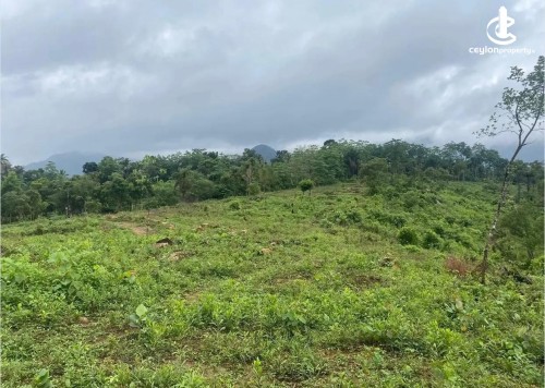 Land for Sale in Kithulgala - Land for Sale – Kitulgala