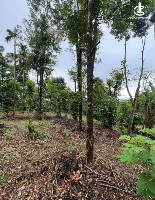 Land for Sale in Kandy - Agricultural & Eco-Tourism Land Plot for Sale – Kandy