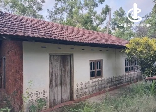 Land for Sale in Anamaduwa - Land for Sale – Near Anamaduwa