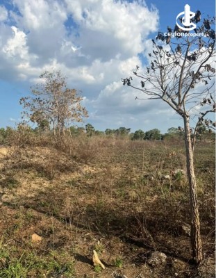 Land for Sale in Anamaduwa - Land for sale in anamaduwa