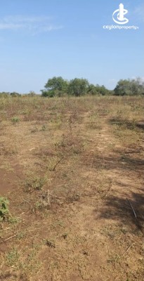 Land for Sale in Thanamalwila - Land for sale in thanamalwila