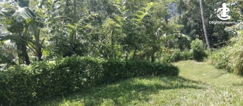 Land for Sale in Matale - Land for sale in matale